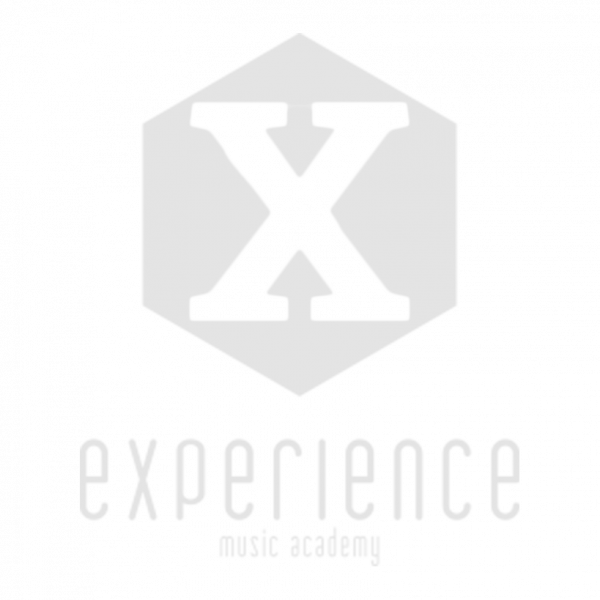 Logo Experience Music Academy